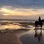 Le Ptit Vertbois Dolus-d'Oleron