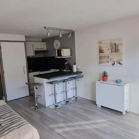 Apartament Le Ptit Vertbois Dolus d'Oléron