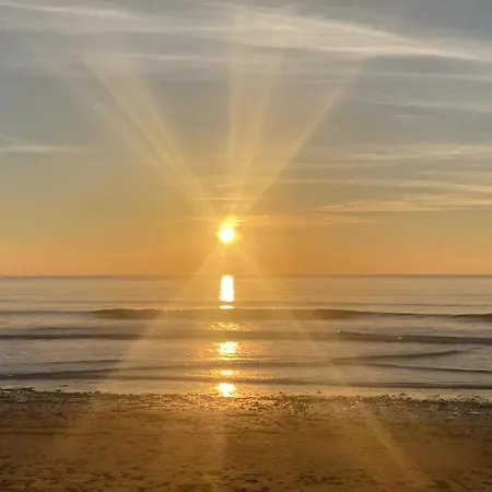 Le Ptit Vertbois * Dolus-d'Oleron